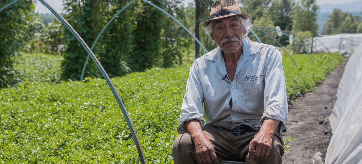 $!El chinampero Samuel Avelino quien participó en el documental, falleció a comienzos de este año.