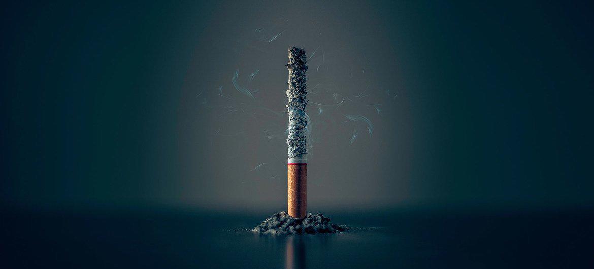 $!La industria del tabaco también daña el medio ambiente: ONU