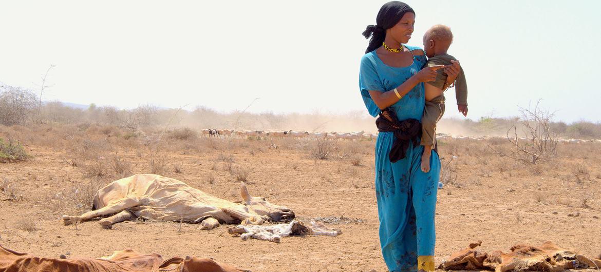 $!Una madre con su hijo en brazos caminado junto a los cadáveres del ganado muerto a causa de la grave sequía en Marsabit, en Kenya.