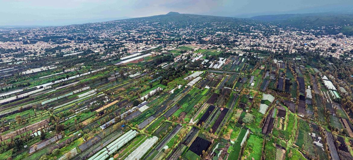$!Panorámica de la ciudad de México donde se aprecia Xochimilco.