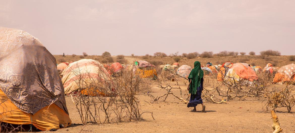 $!Familias desplazadas afectadas por la sequía, en la Región de Somali de Etiopía.