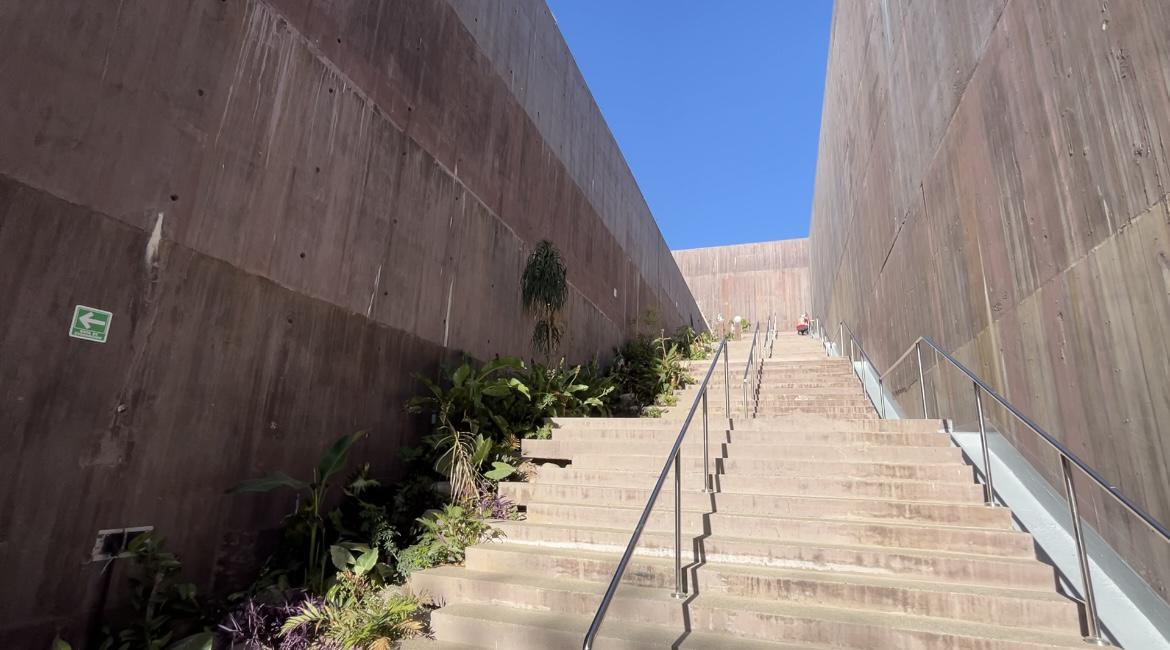 $!‘Emerge del océano’ Nuevo Acuario Mazatlán Mar de Cortés y muestra su belleza al mundo