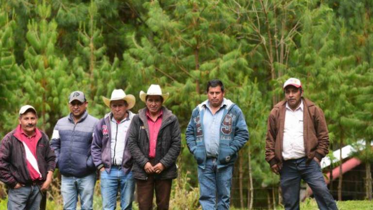 Algunos de los ejidatarios de Nueva Vaquería, comunidad que ha logrado mantener un programa de manejo forestal y, con ello, conservar su bosque.