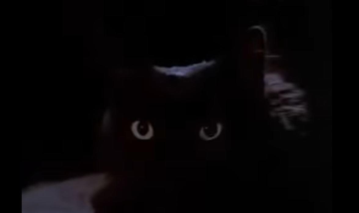 $!10 películas de miedo del Cine de Oro mexicano para ver con la luz apagada