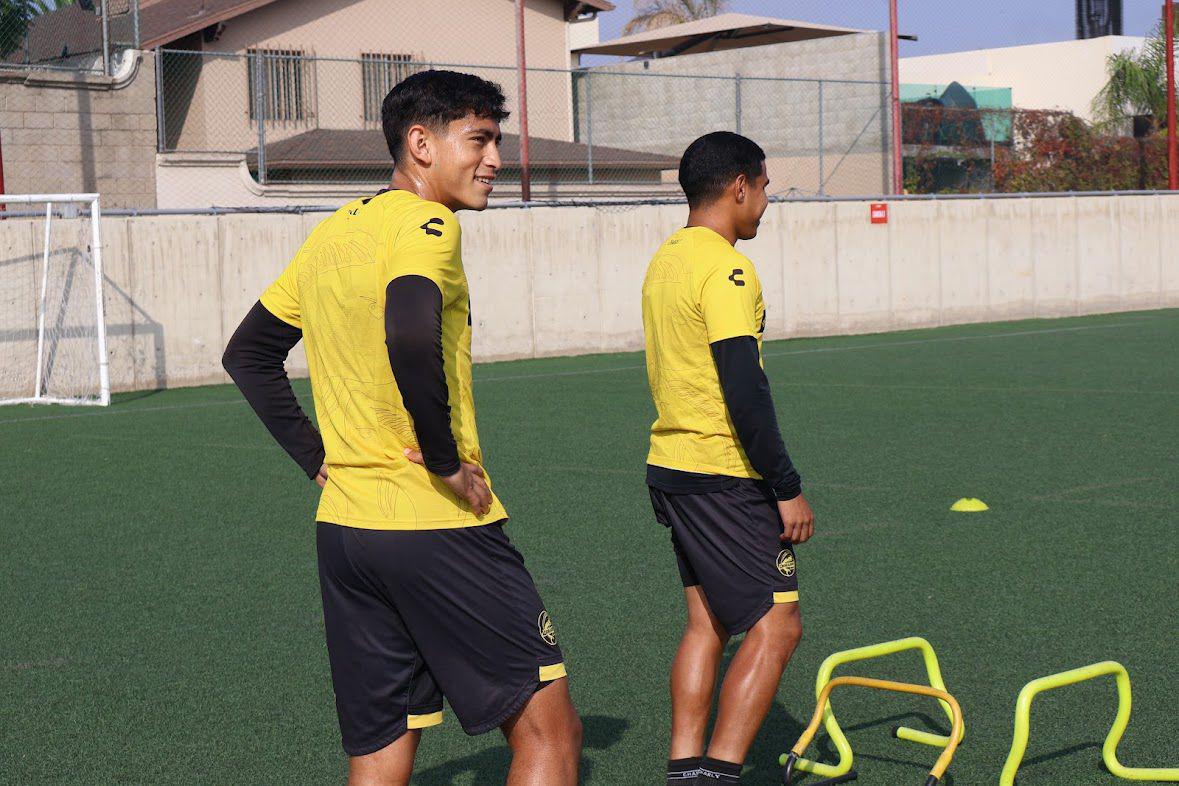 $!Dorados, por un cierre digno en el Apertura 2025