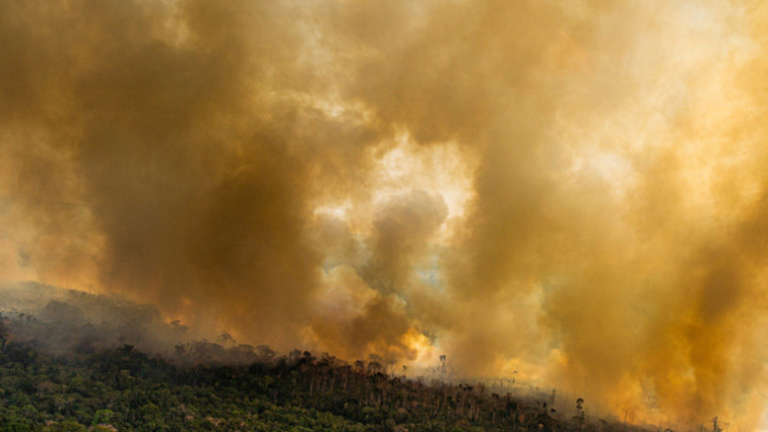 Incendios ardiendo en la Amazonía el 17 de agosto de 2020, junto a los límites del Territorio Indígena Kaxarari, en Labrea, estado de Amazonas.