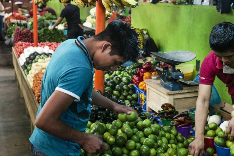 América Latina y el Caribe, un puntal de la seguridad alimentaria mundial que busca alimentar a 10 mil millones de personas en 2050