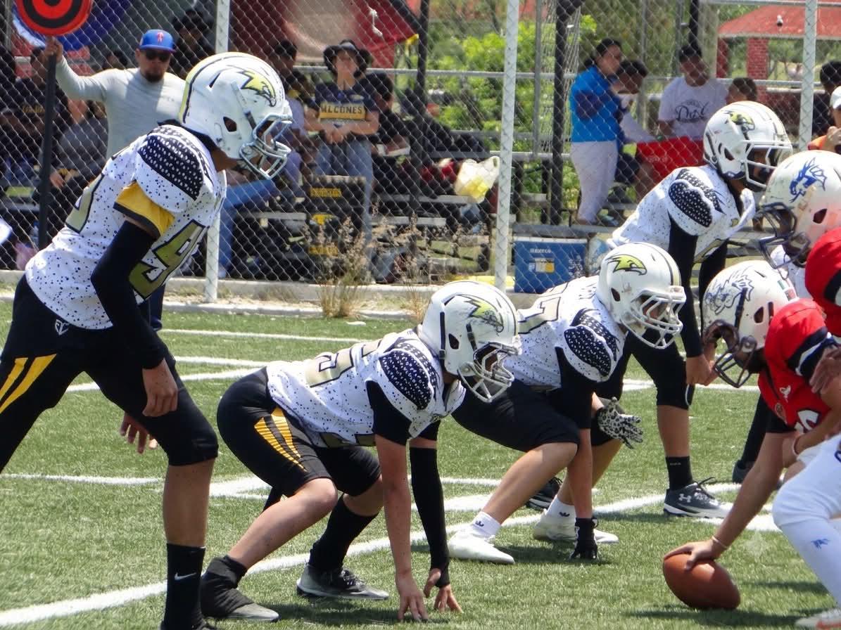 $!Halcones de Mazatlán conquista tres subcampeonatos en finales de la Liga COB