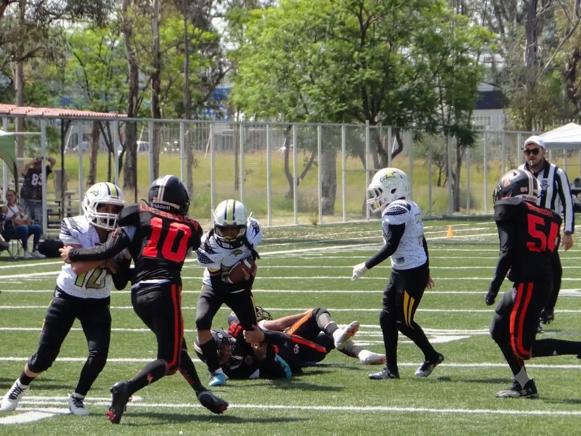 $!Halcones de Mazatlán conquista tres subcampeonatos en finales de la Liga COB