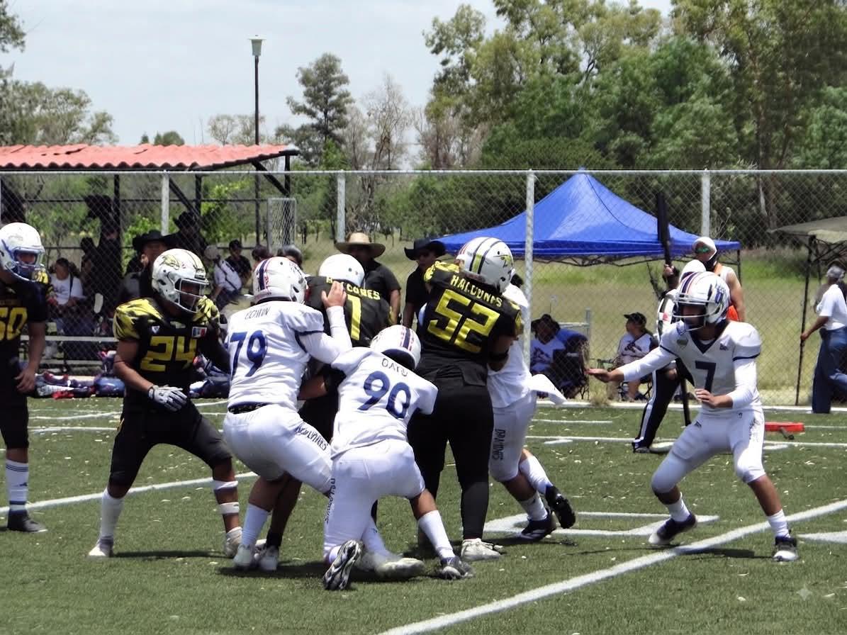 $!Halcones de Mazatlán conquista tres subcampeonatos en finales de la Liga COB