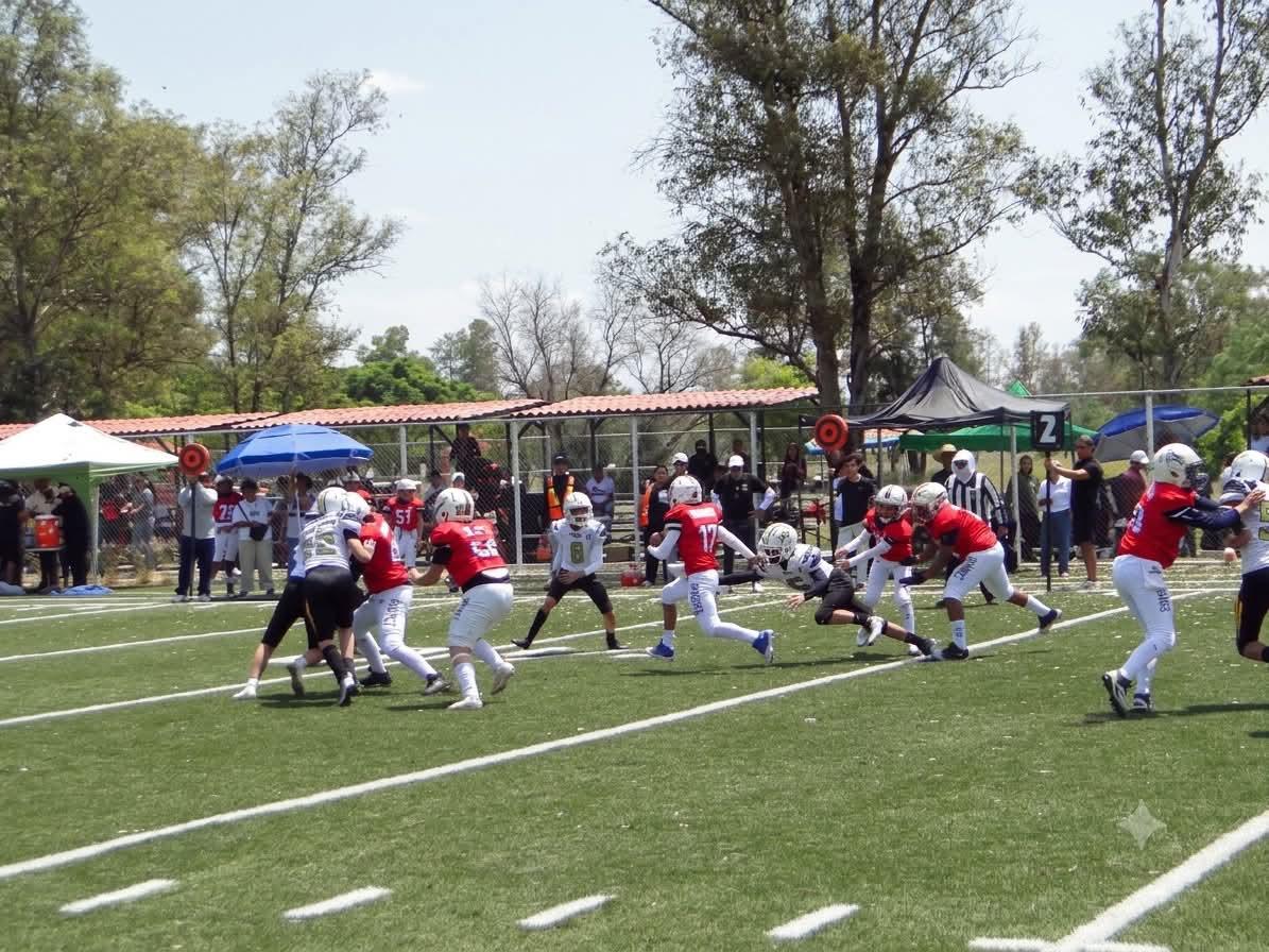 $!Halcones de Mazatlán conquista tres subcampeonatos en finales de la Liga COB