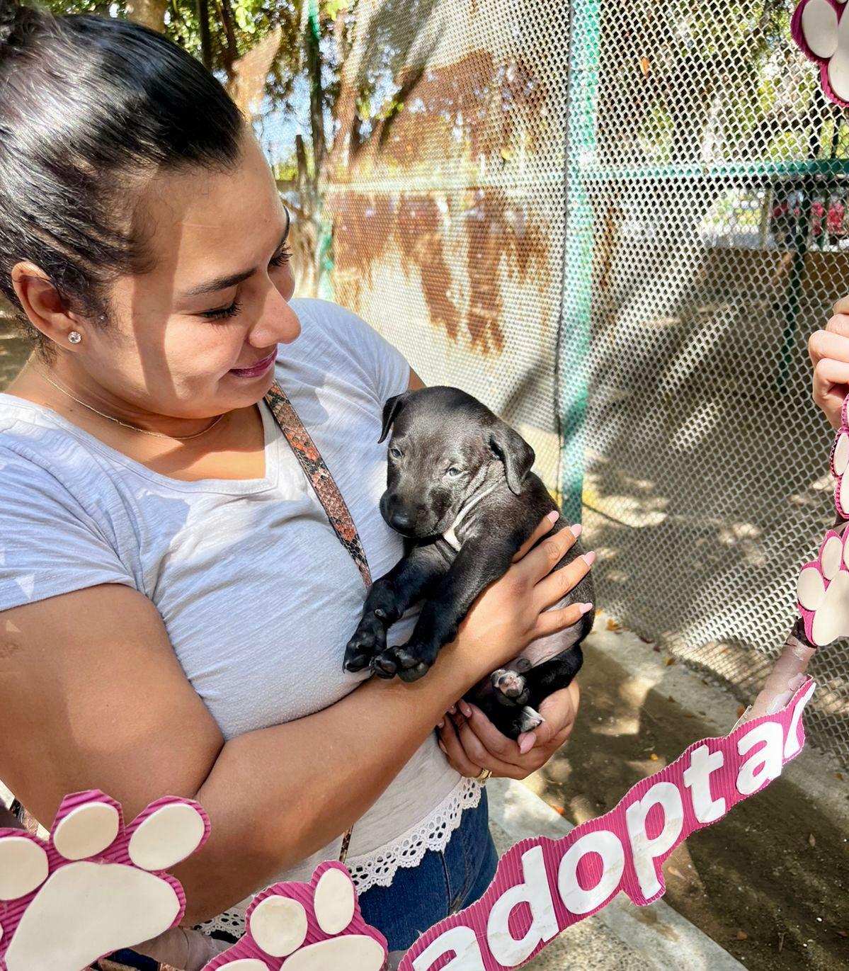 $!‘Huellitas del Bienestar’ logra 9 adopciones de perritos y gatitos durante su primera jornada del año