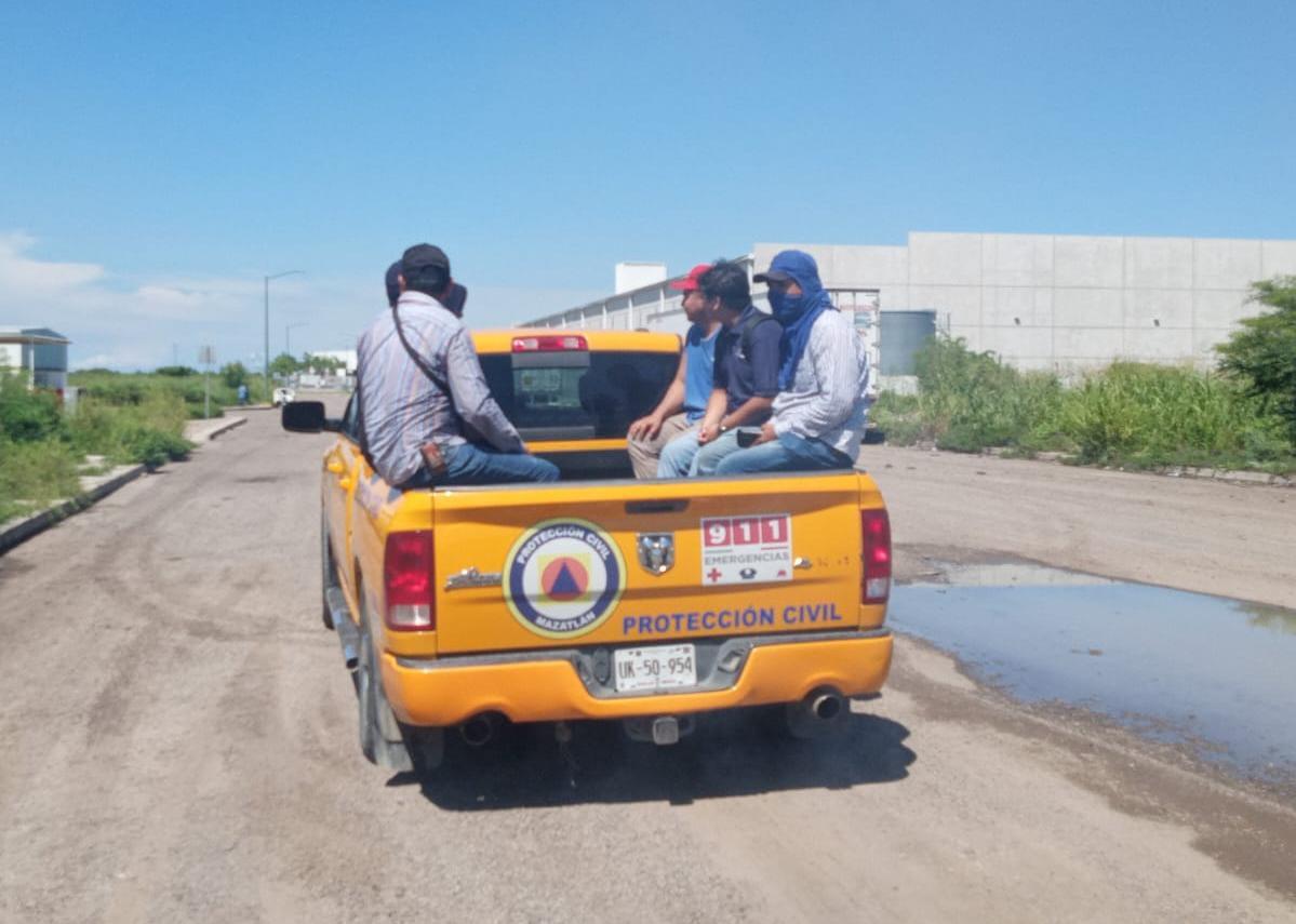 $!Ataque de abejas en Parque Industrial Mazatlán deja 17 heridos, tres hospitalizados