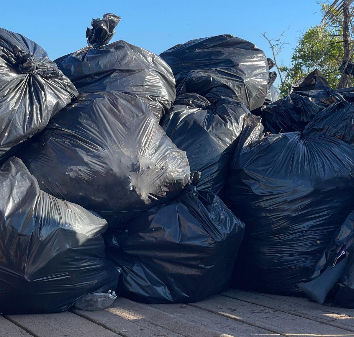 $!Ecología realiza jornada de limpieza en playa en Chametla previo a Semana Santa