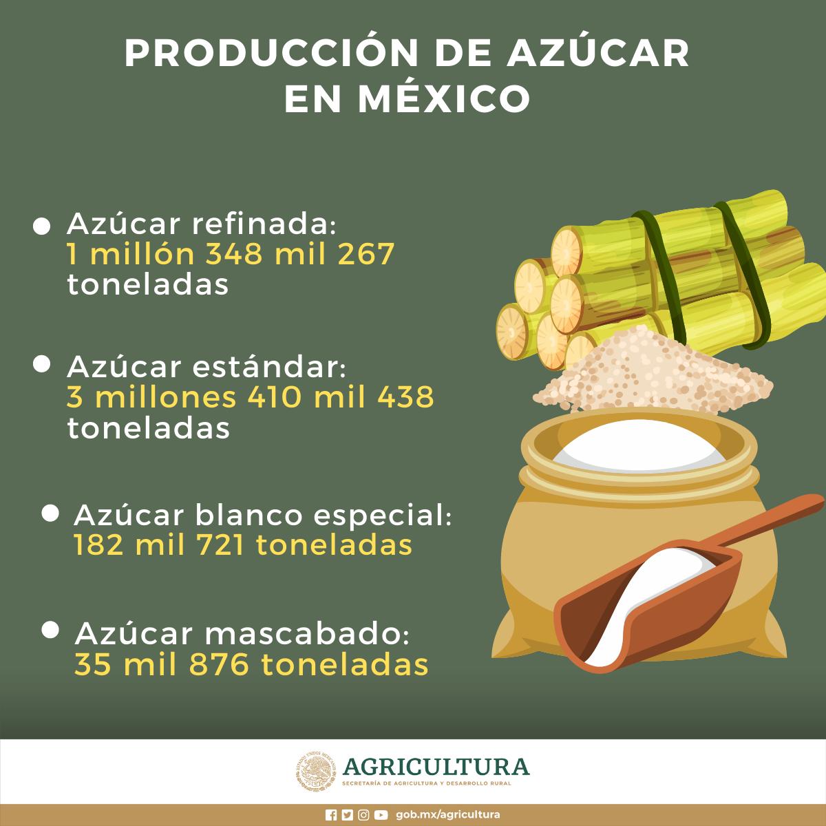 $!Concluye, con crecimiento, producción de caña y azúcar en México