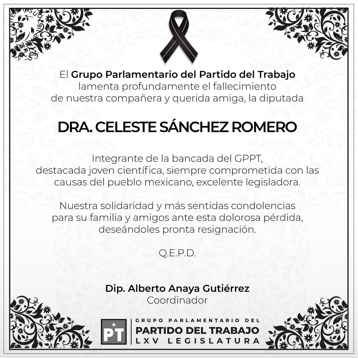 $!Encuentran muerta a Celeste Sánchez, Diputada federal del PT por Durango