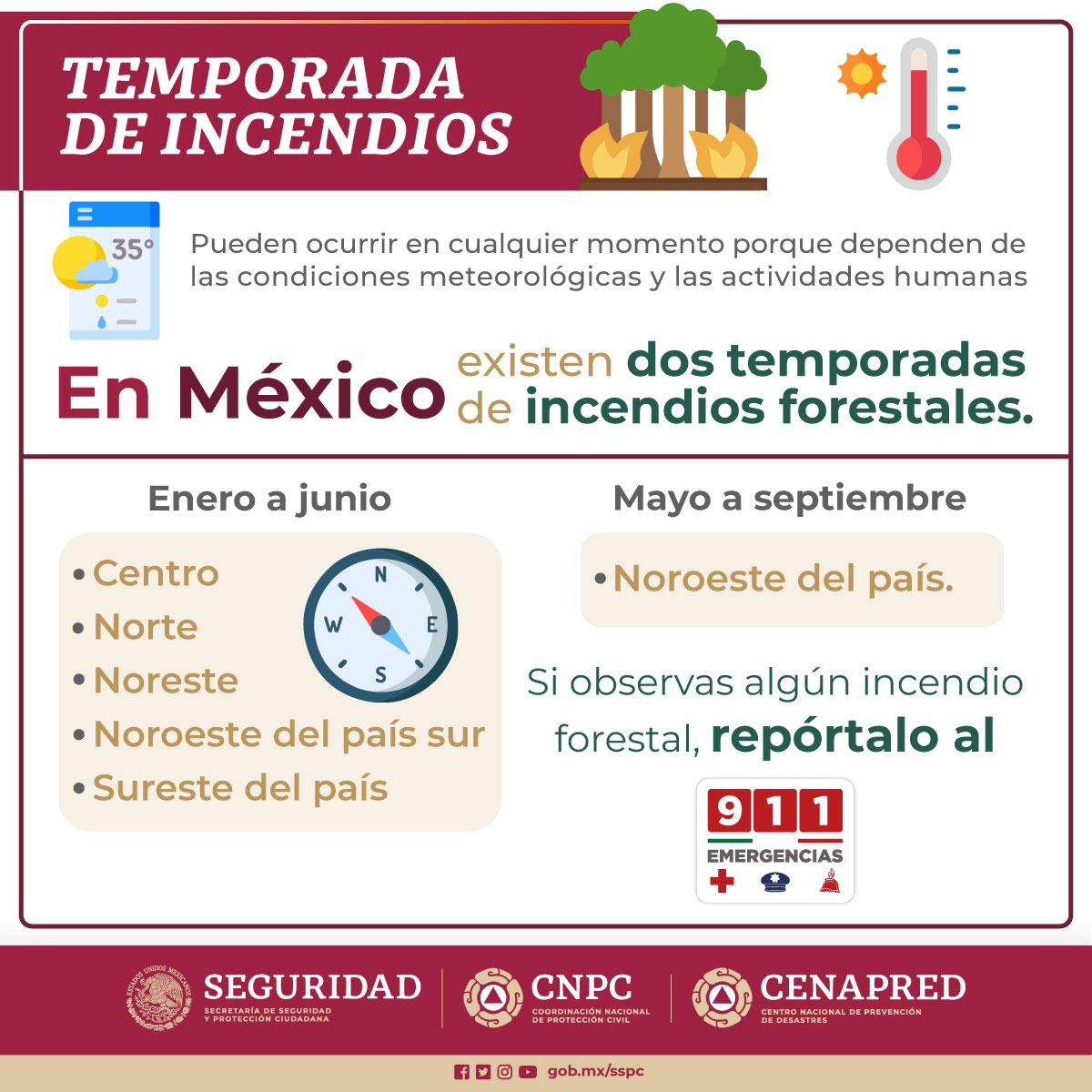 $!Nueve de cada 10 incendios forestales son provocados por el hombre