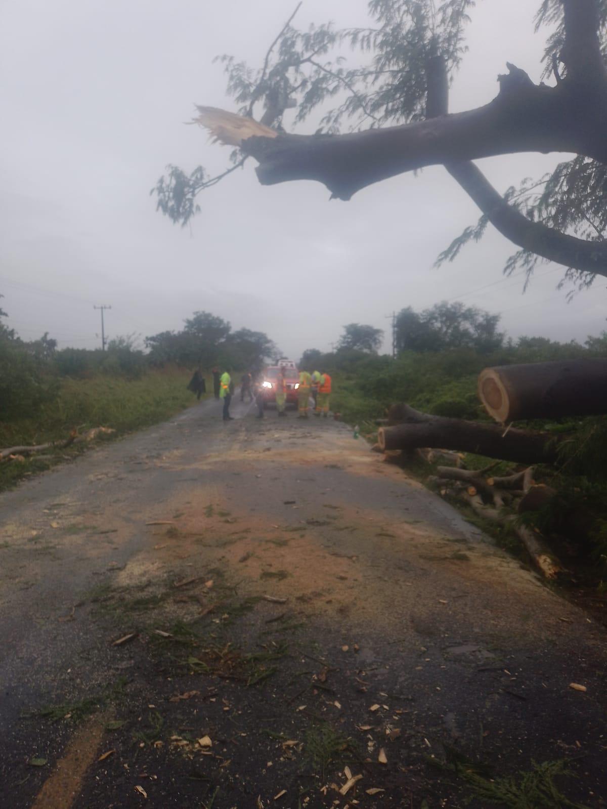 $!Sube a tres los muertos en Nayarit por el paso del huracán Roslyn; además de cuantiosos daños