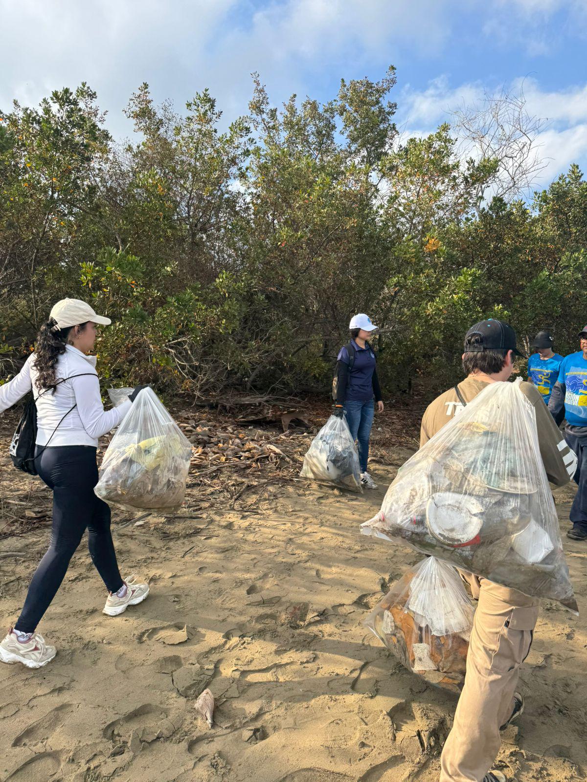 $!MazConCiencia reúne 100 voluntarios y retira 4 toneladas de basura de manglar de Isla de la Piedra