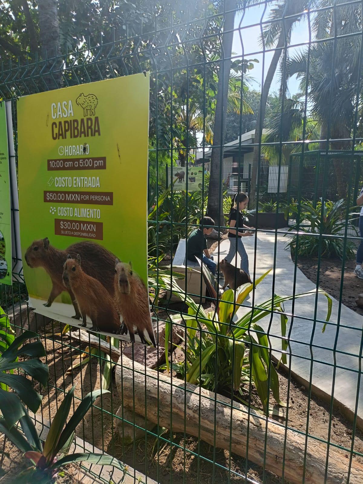 $!Descubre el Gran Acuario: una experiencia imperdible en tu visita