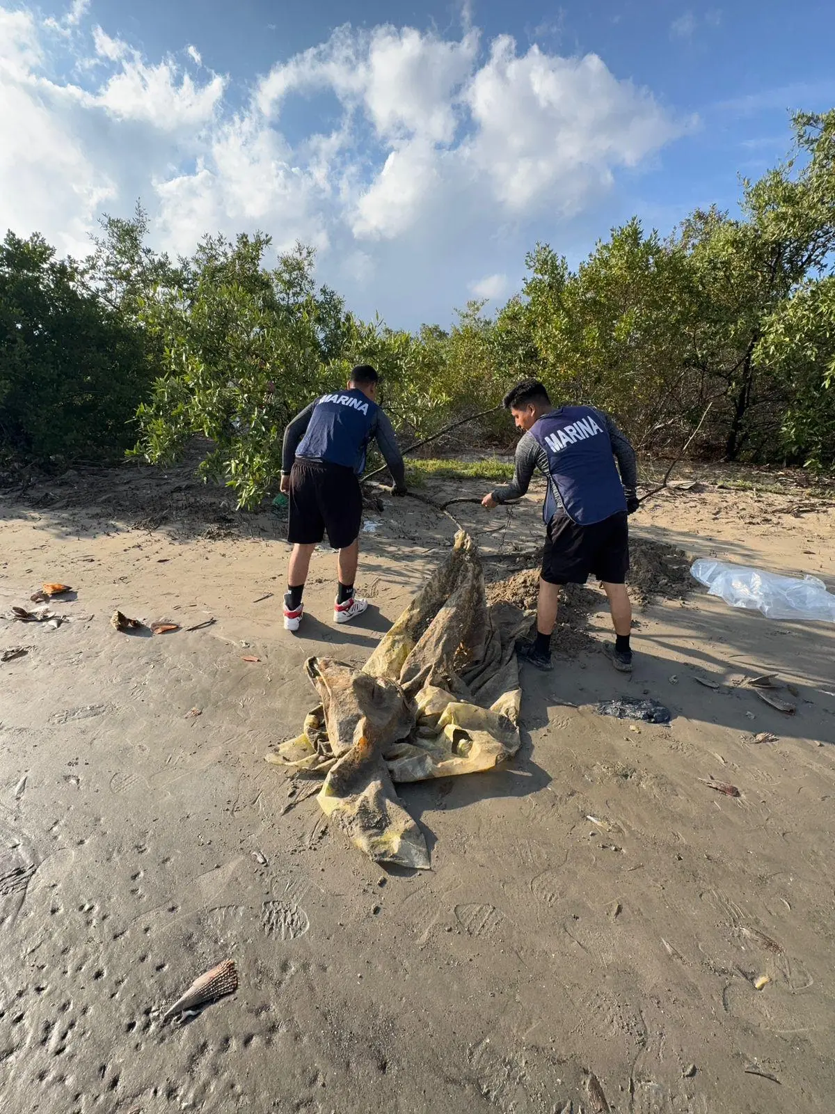 $!MazConCiencia reúne 100 voluntarios y retira 4 toneladas de basura de manglar de Isla de la Piedra