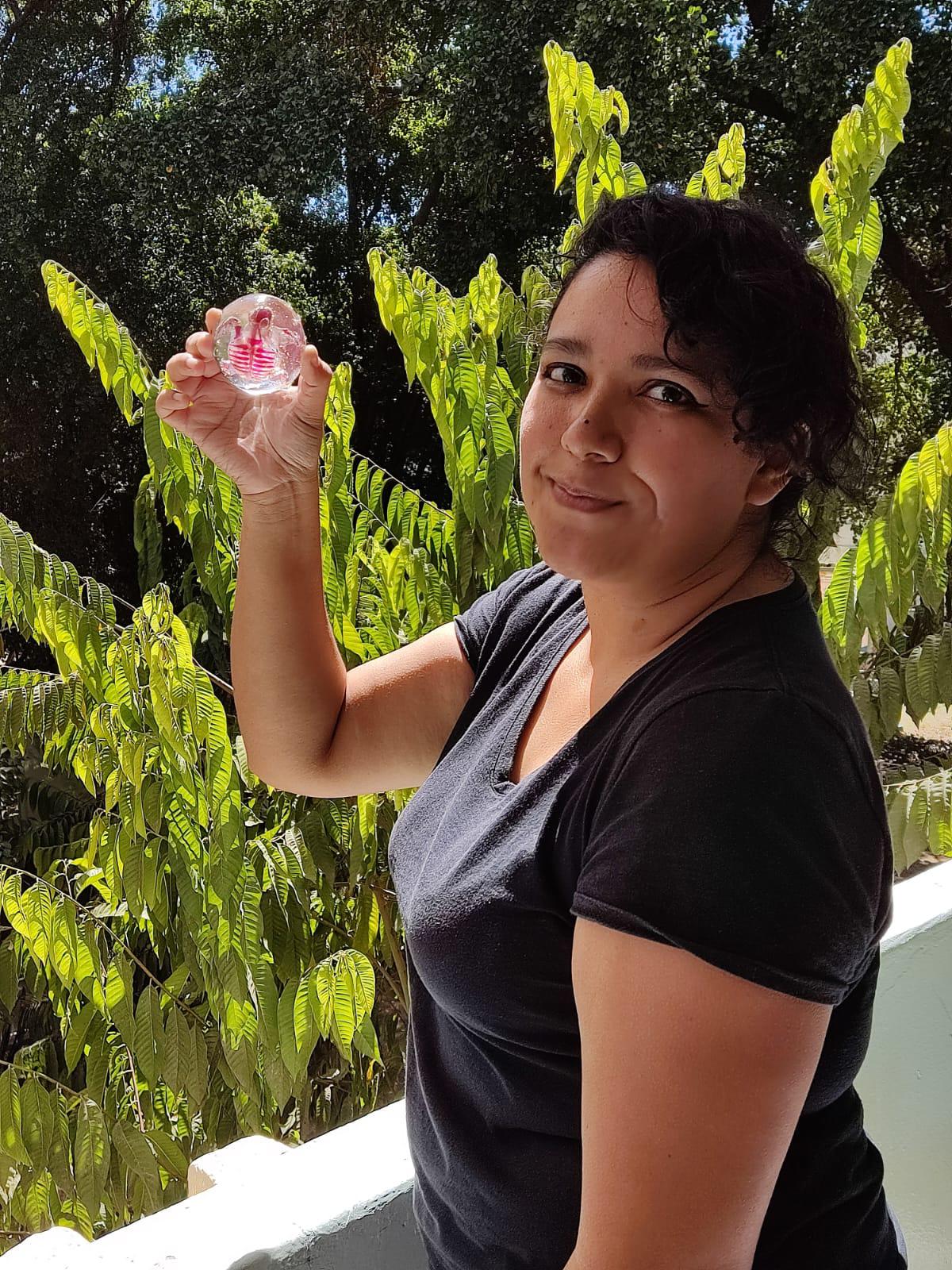 $!Alumna de la UAS consigue método para transparentar órganos y piel de tortugas marinas embrionarias