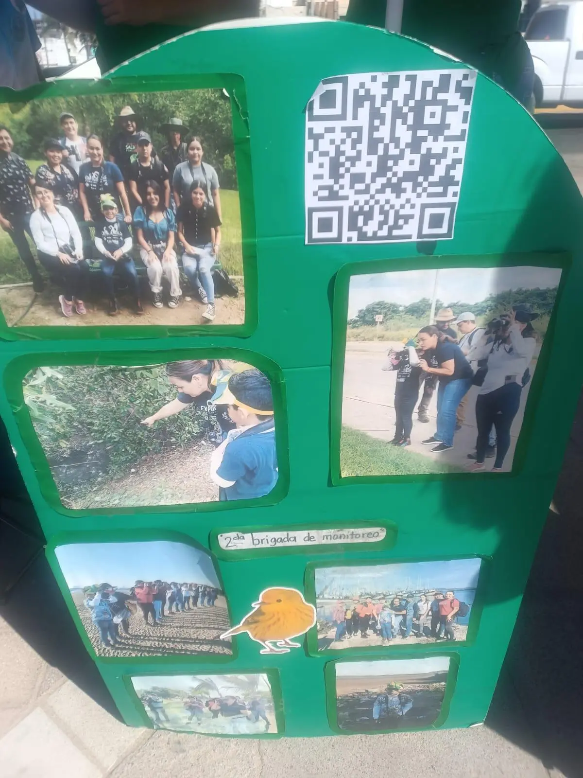 $!Busca Dylan crear conciencia sobre el cuidado de las aves en Mazatlán