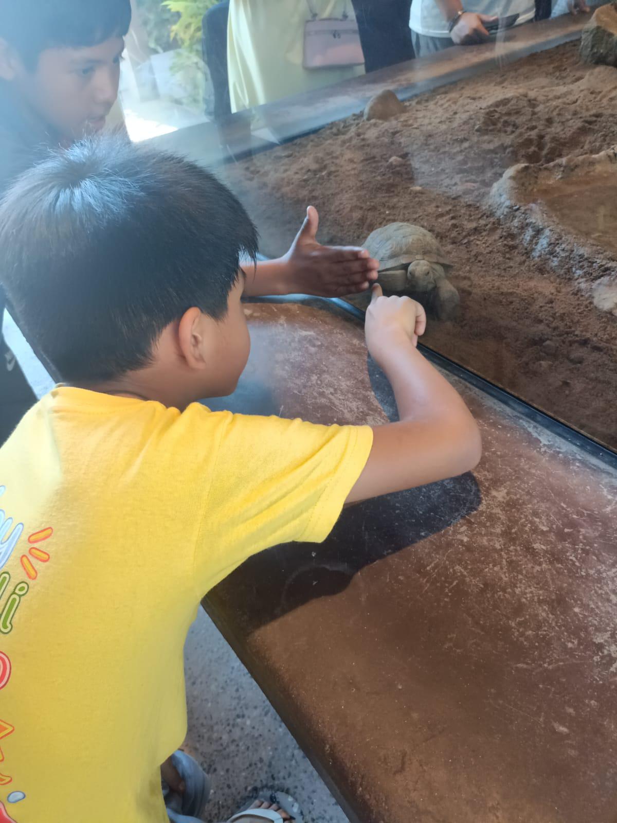 $!Niños de La Laguna cumplen en Mazatlán su sueño de conocer el mar