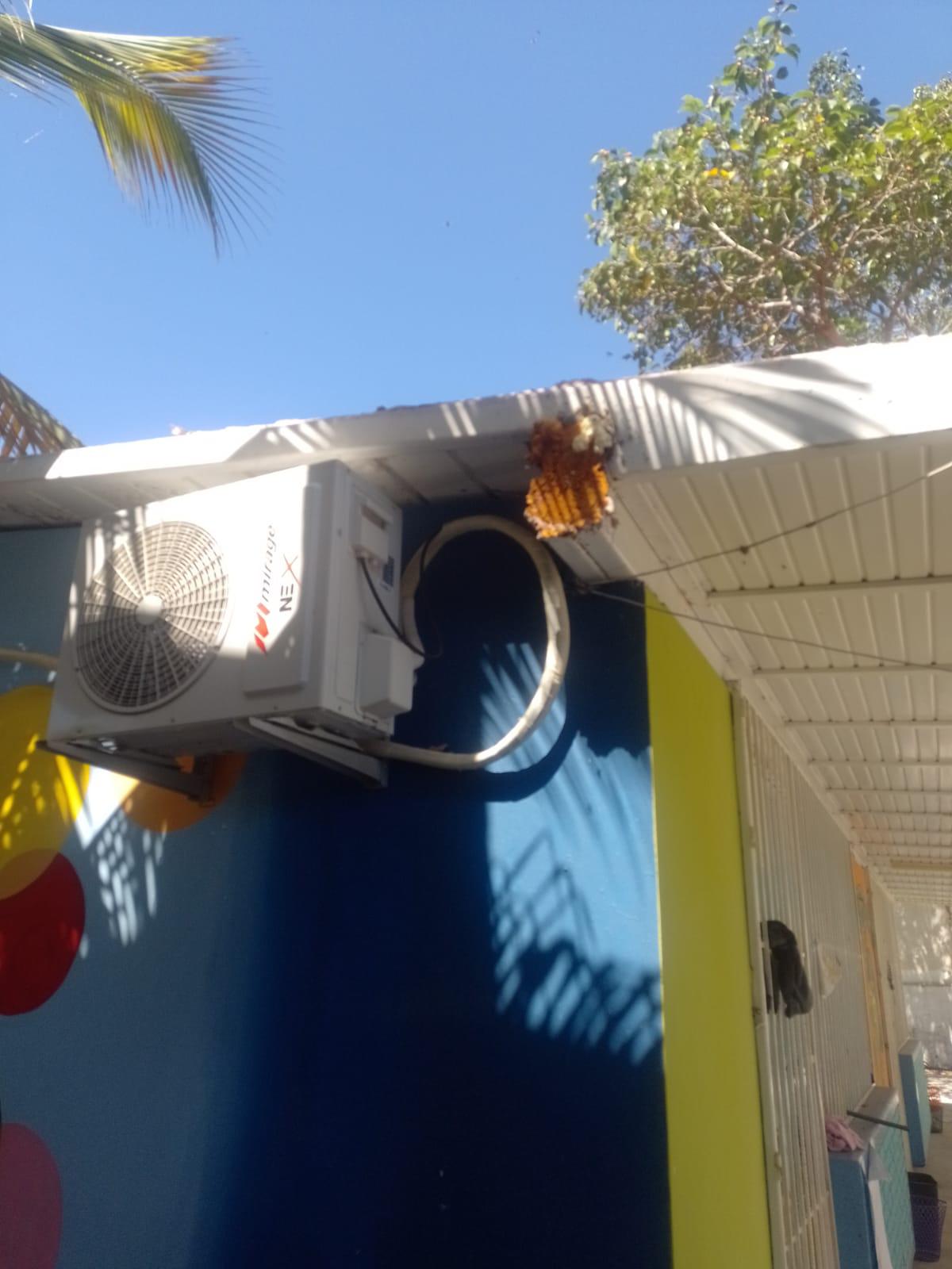 $!Deterioro y abejas acechan a plantel de preescolar en Mazatlán