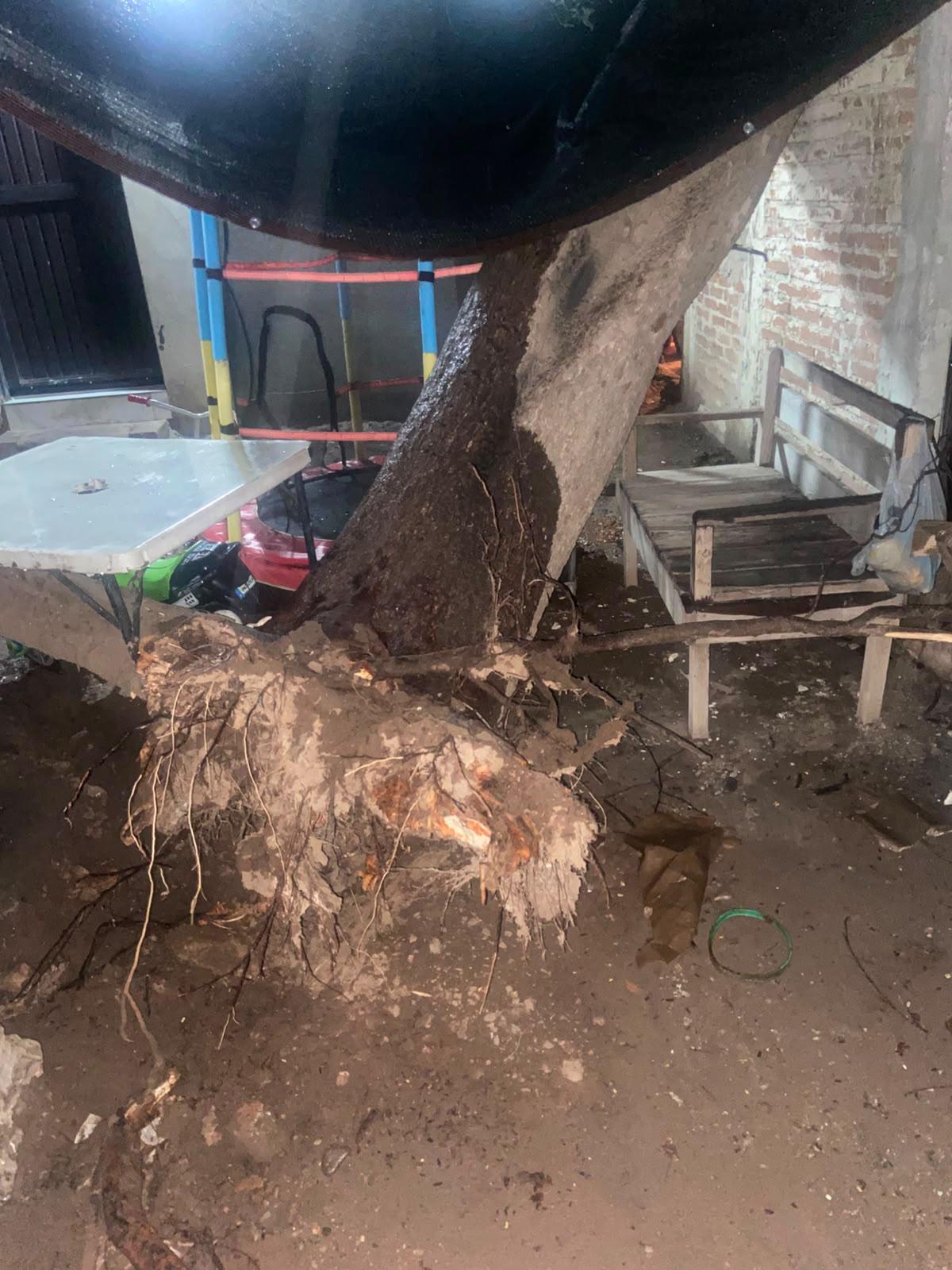 $!Lluvias en Culiacán dejan camioneta varada, un árbol caído y otro incendiado por un rayo