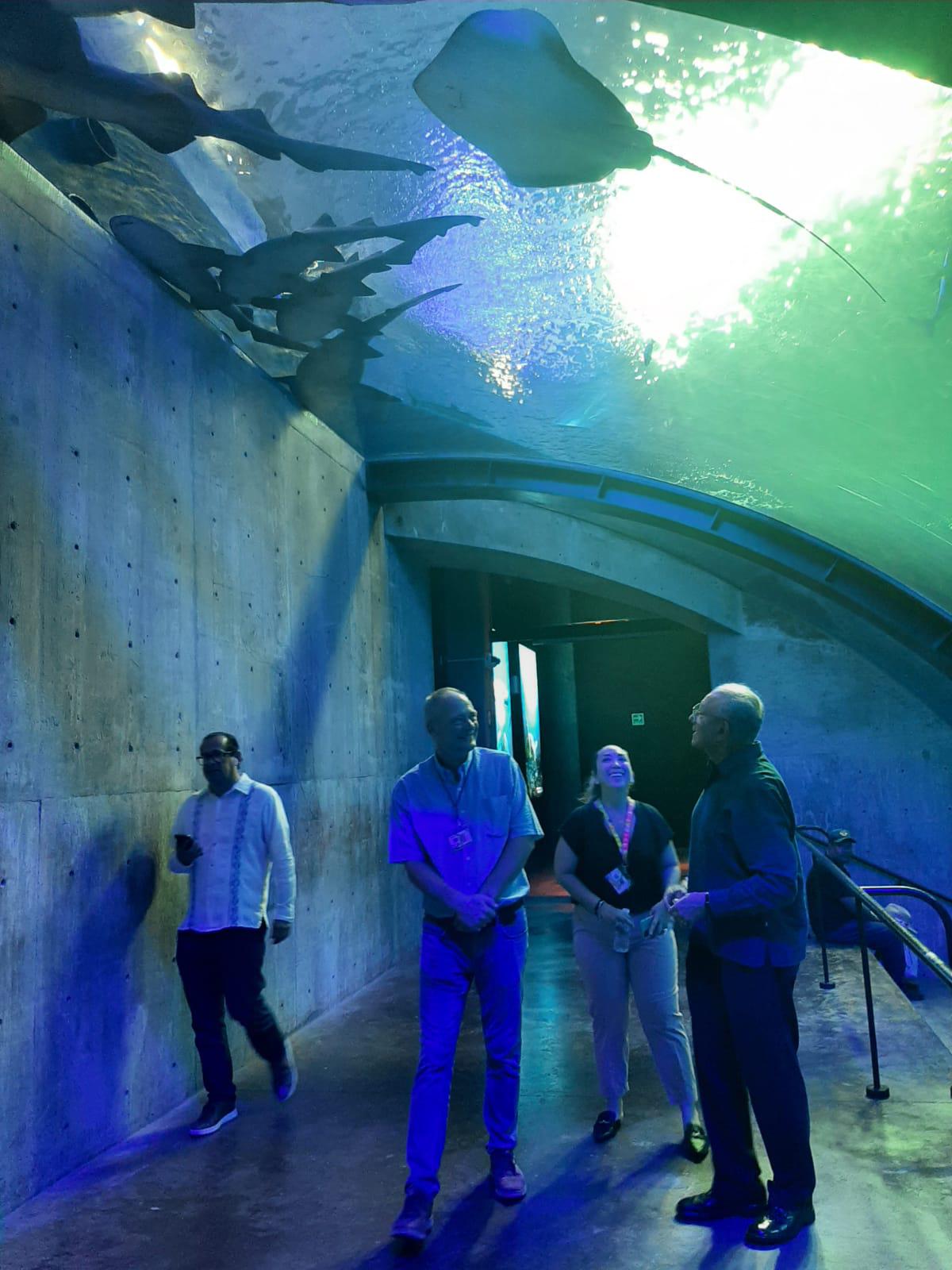 $!Gran Acuario de Mazatlán es toda una experiencia que México debe disfrutar: Sectur