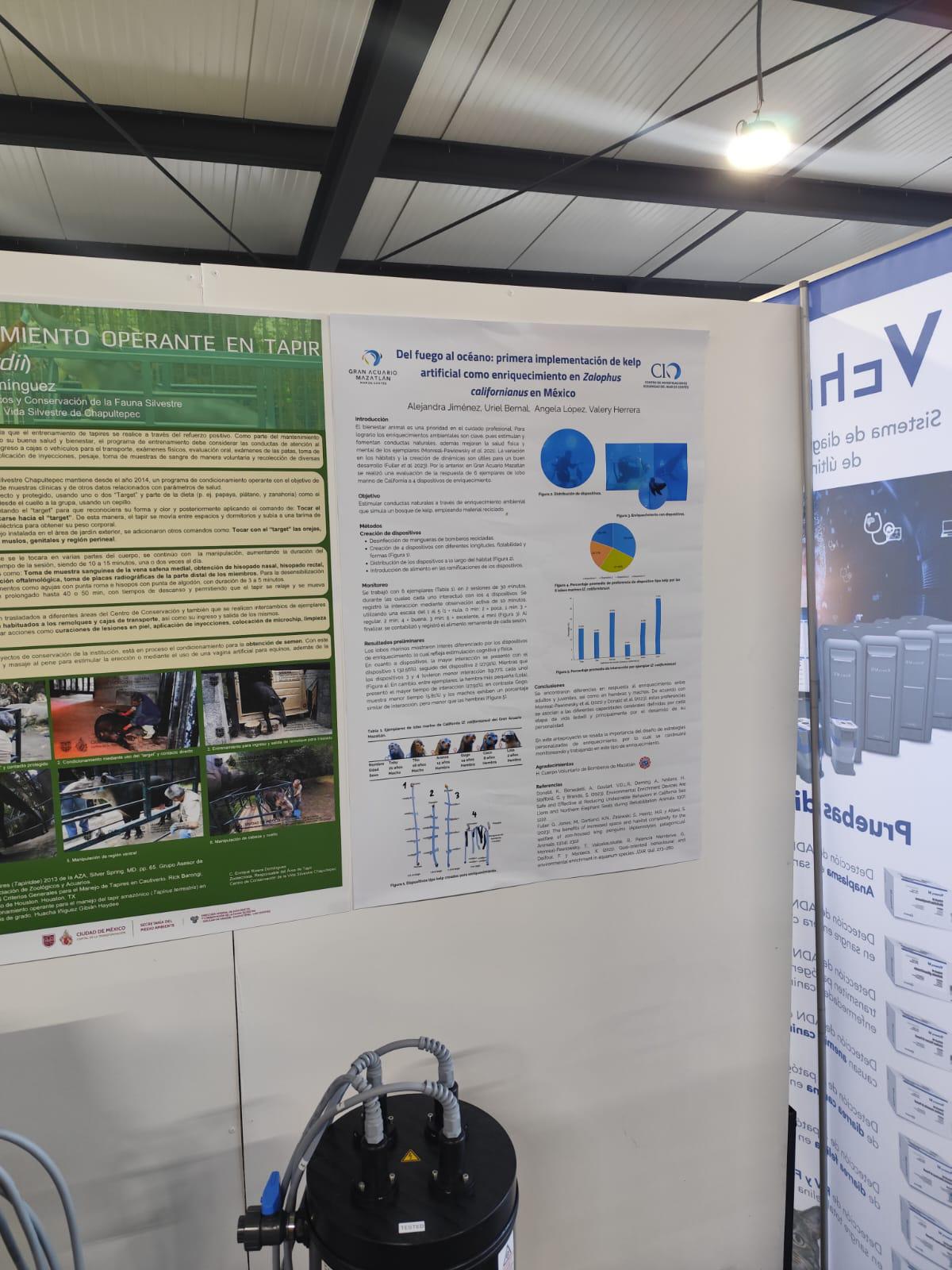 $!Gran Acuario Mazatlán destaca en Congreso Nacional de la AZCARM con ponencias sobre condicionamiento y bienestar animal