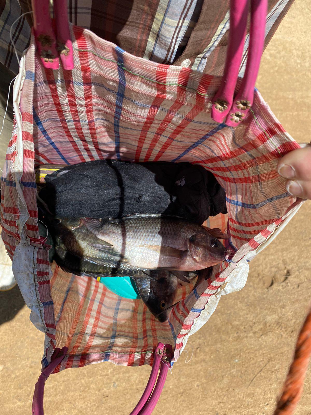 $!Lluvias llenan la presa Sanalona y hacen desaparecer a ‘Narnia’ en Culiacán