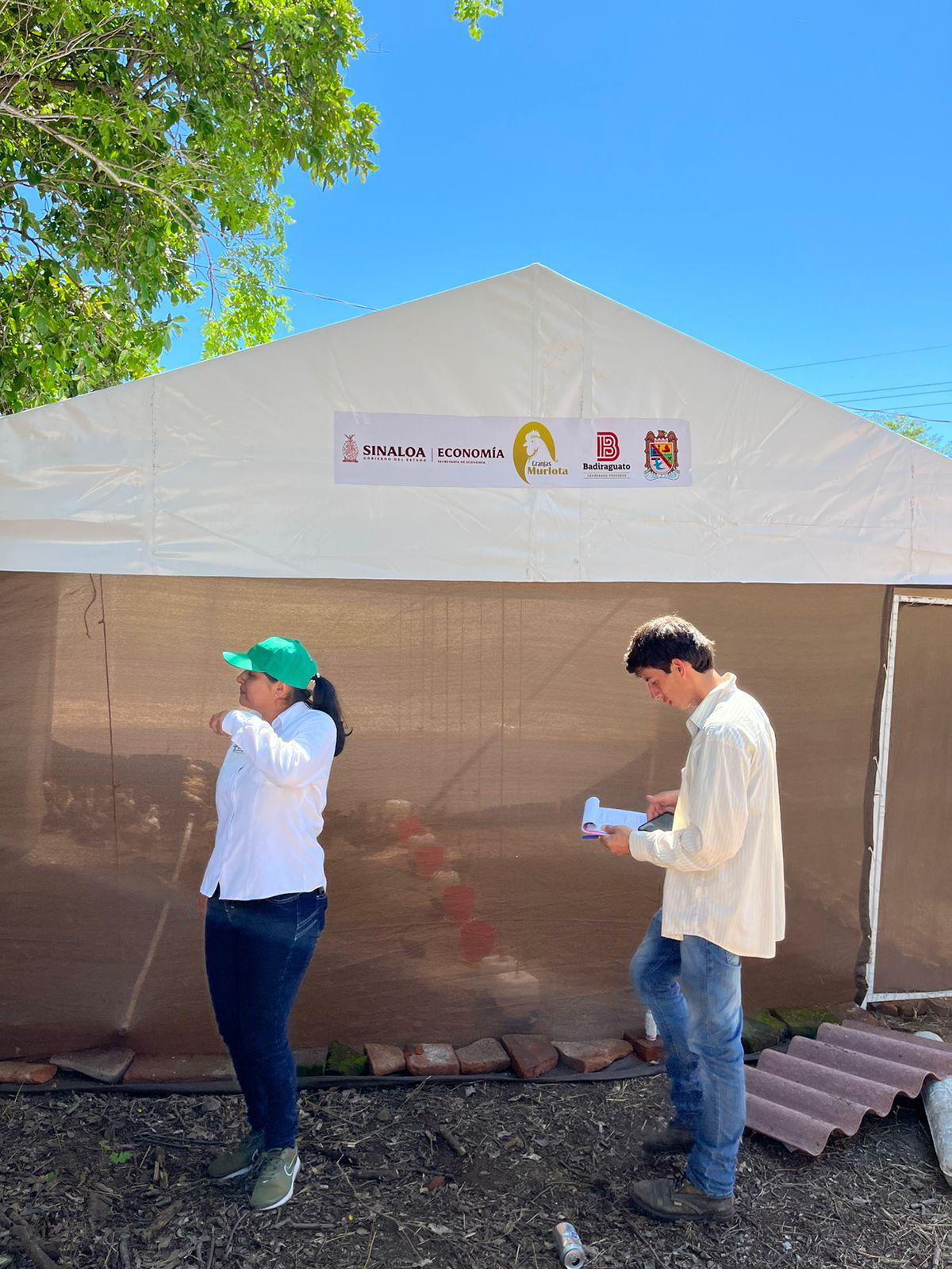 $!Promueven en Sinaloa empresas familiares con el Proyecto Integral de Gallinas Ponedoras