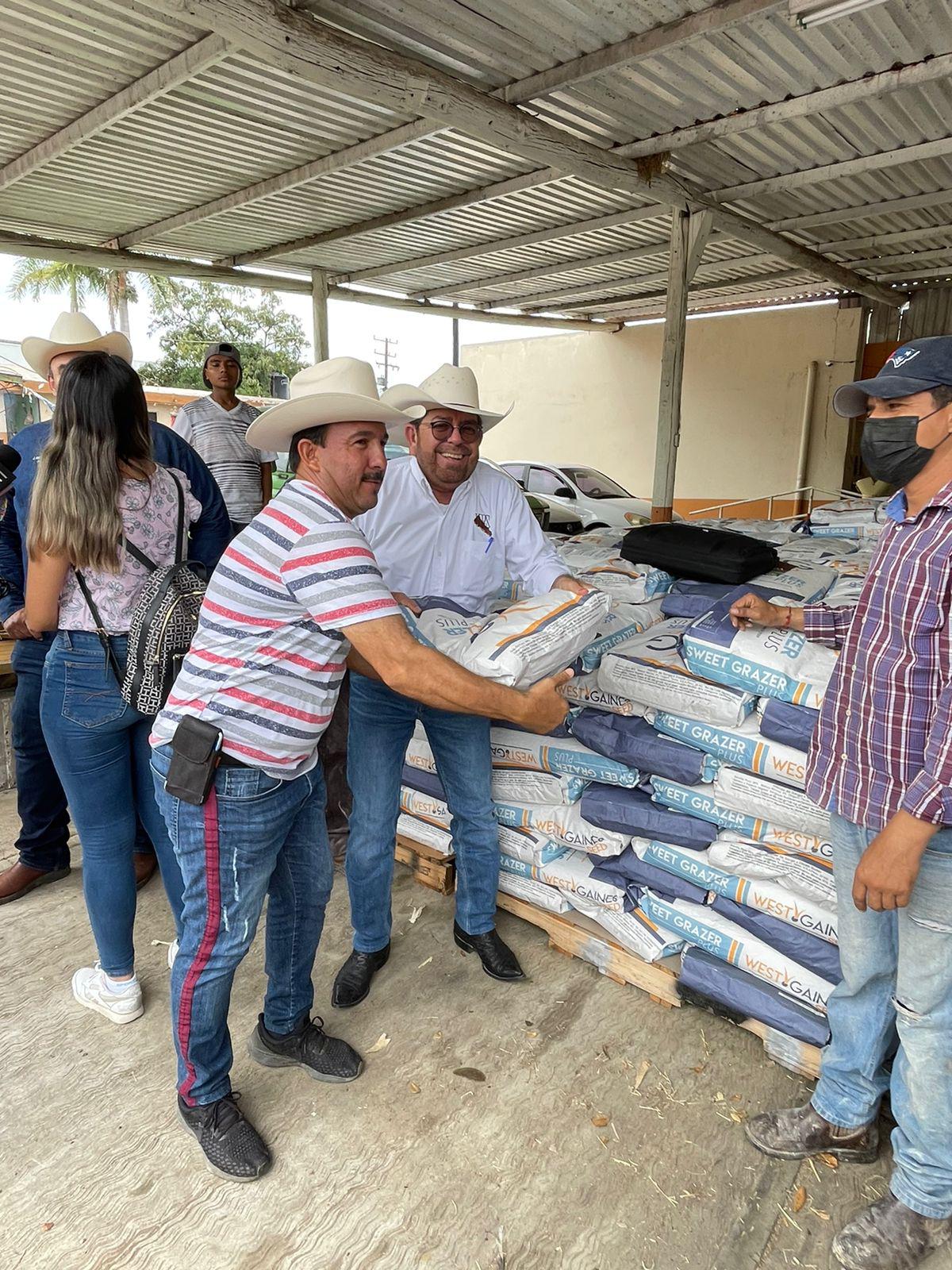 $!En Mazatlán arranca programa de inseminación artificial de 1,500 cabezas de ganado