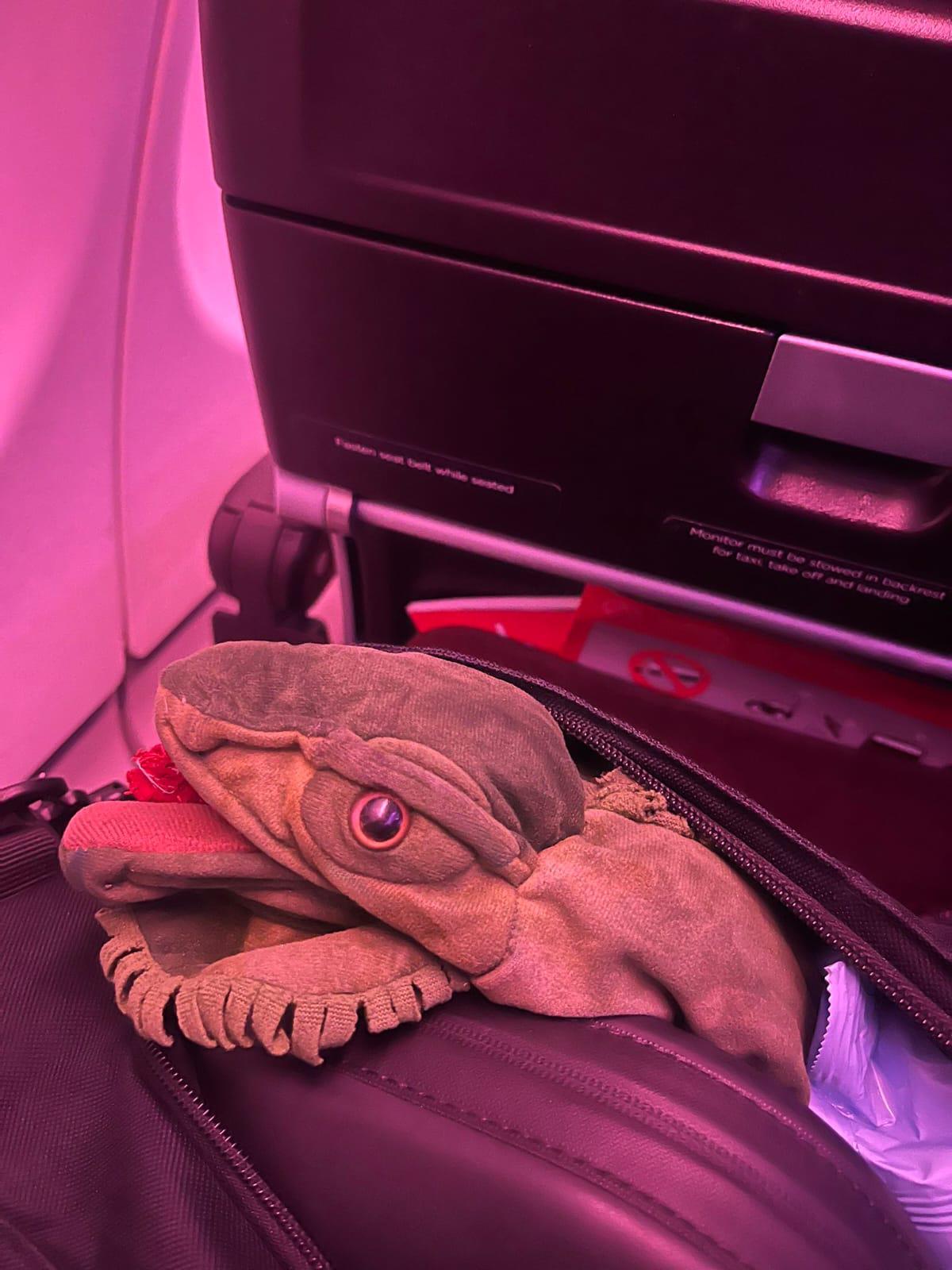 $!Mr. Iguana hace historia en el Royal Rumble 2026