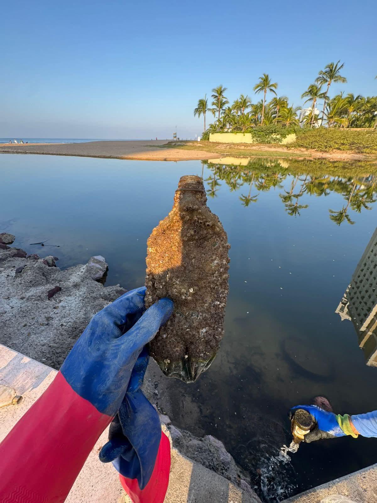 $!Cierra MazConCiencia el 2025 con jornada de limpieza en el Estero del Yugo, en Mazatlán