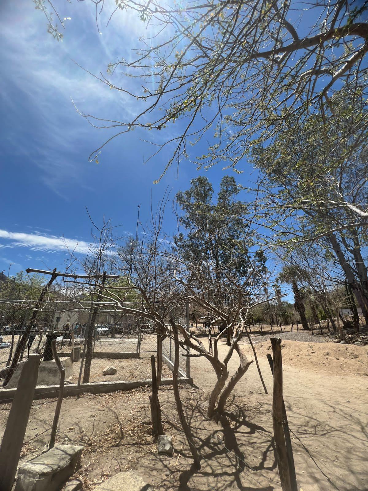 $!A la sierra de Choix los maestros no han acudido a dar clases por la violencia