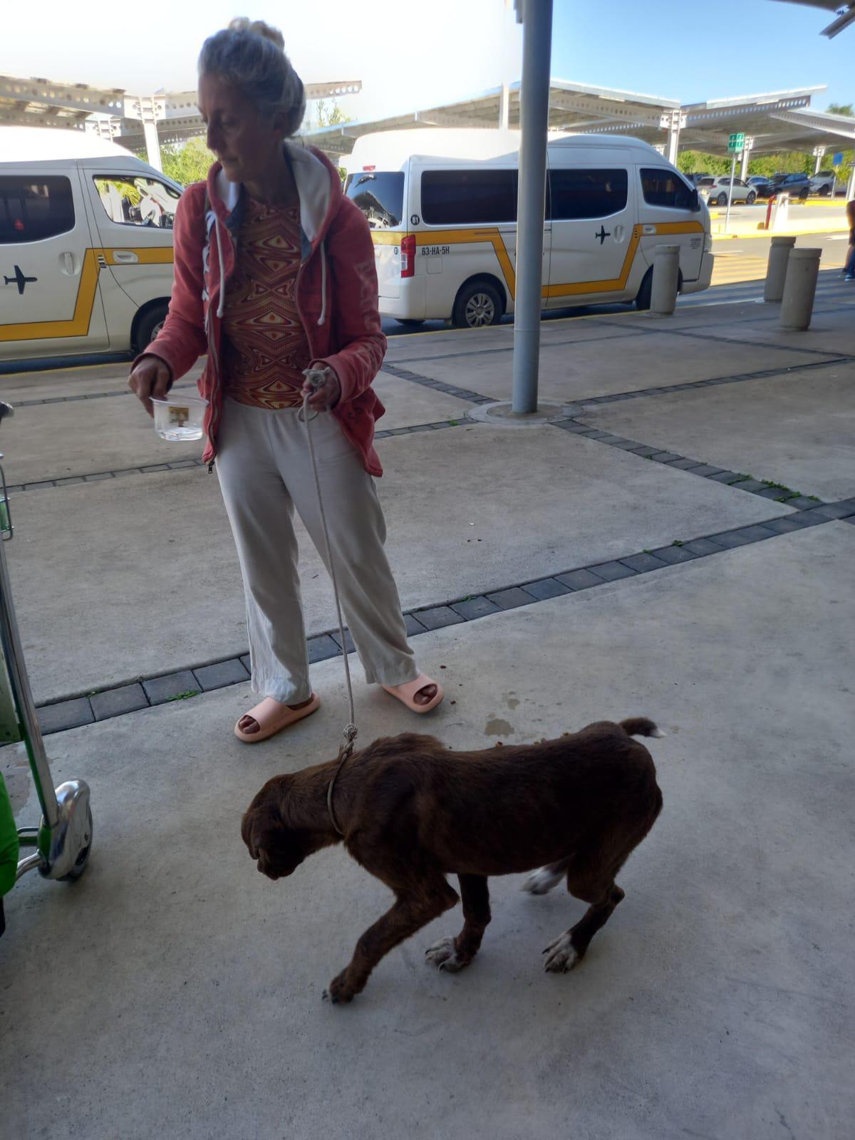 $!Atienden a extranjera varada en el aeropuerto de Mazatlán; buscan a sus familiares