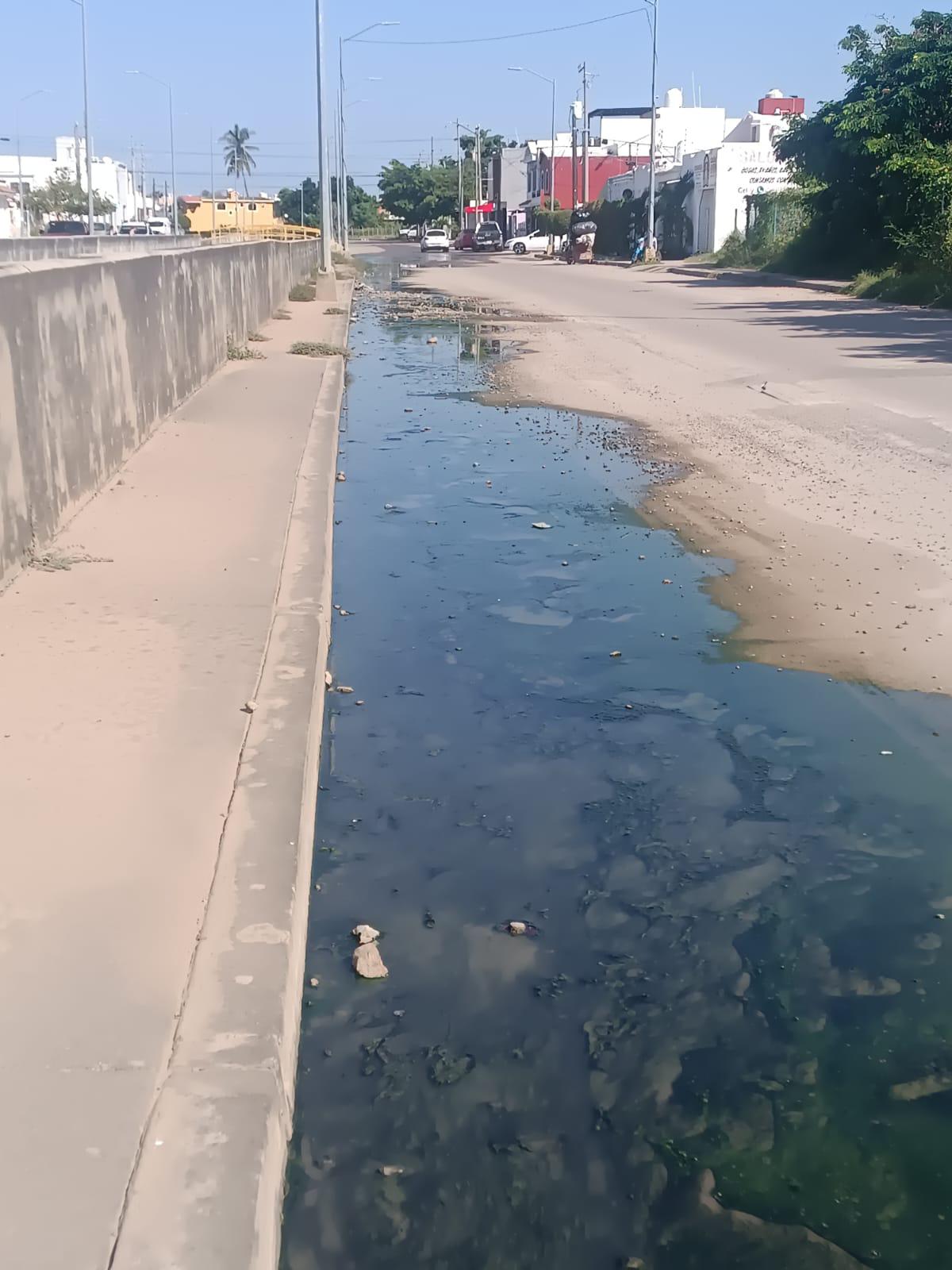 $!En Arboledas I, vecinos de Mazatlán también sufren por la contaminación de una fuga de drenaje