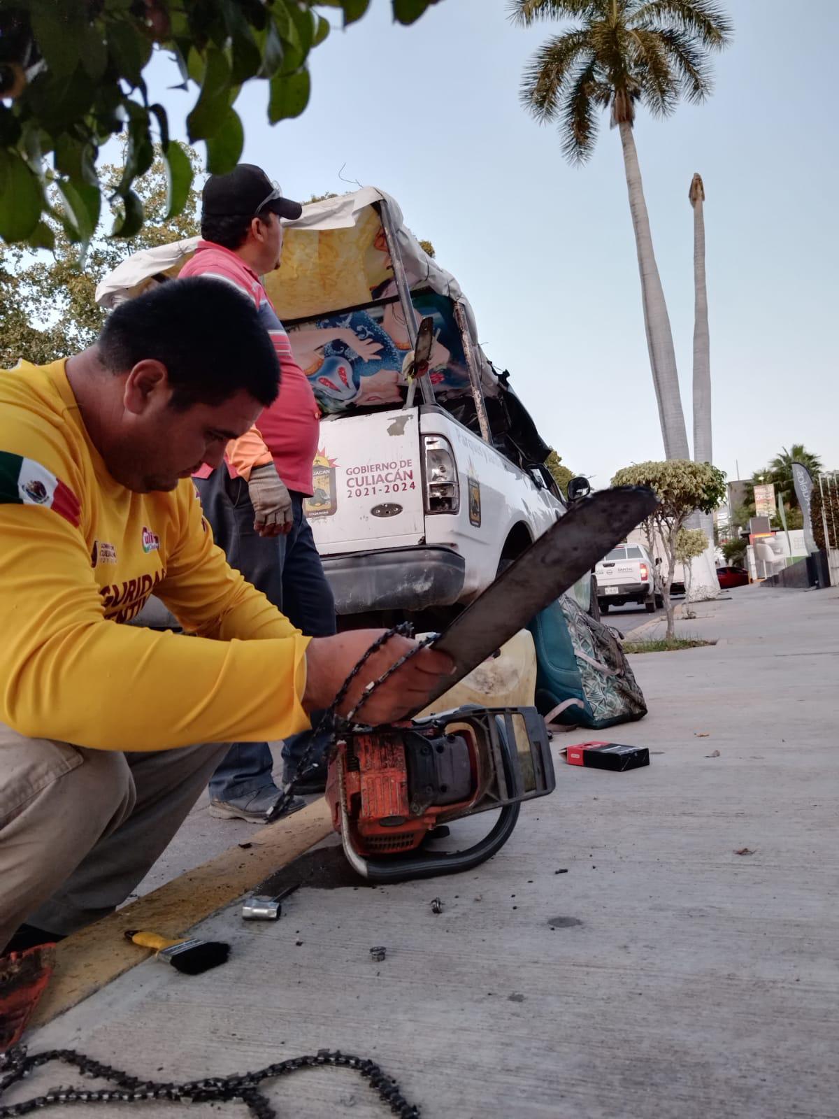 $!Vieja palmera cae sobre comercio en Culiacán y provoca caos vial