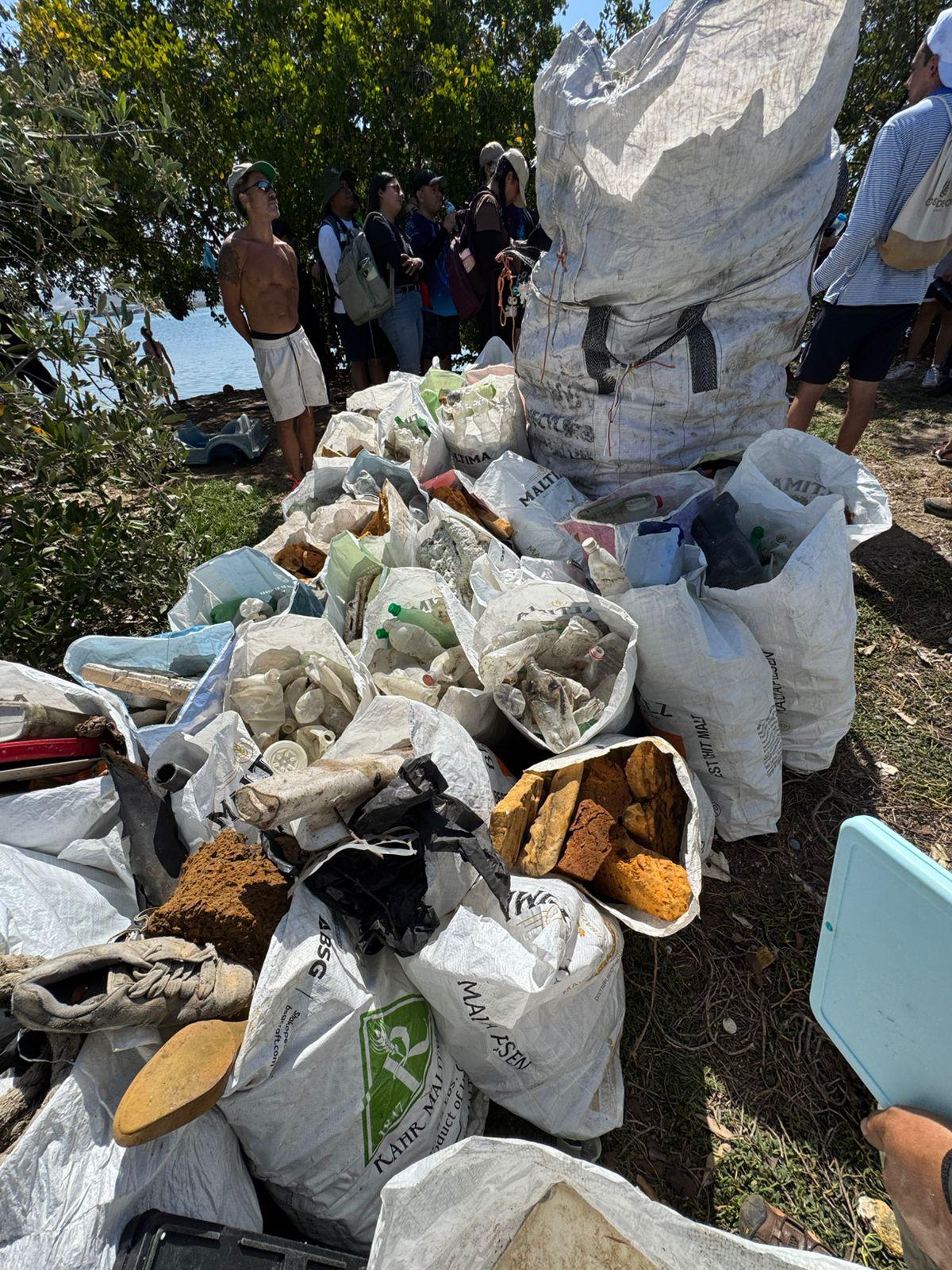 $!Mitigan contaminación del manglar de ‘Isla Basura’ en Mazatlán