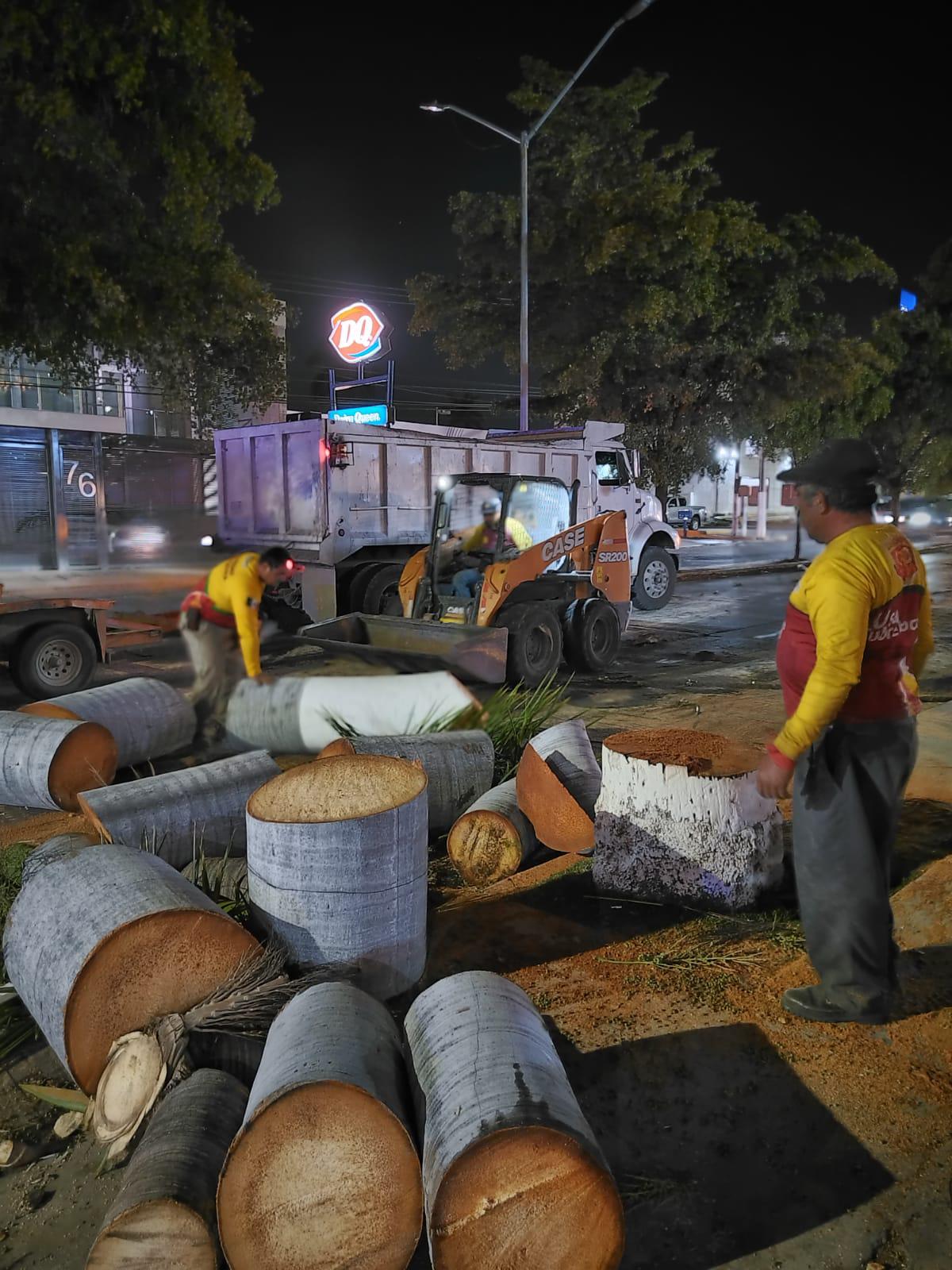 $!Vieja palmera cae sobre comercio en Culiacán y provoca caos vial