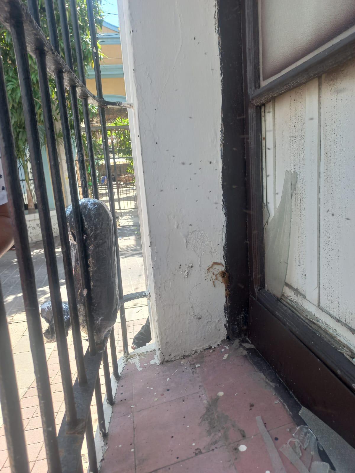 $!Rescatan enjambre de abejas sin aguijón en el Centro Histórico de Mazatlán