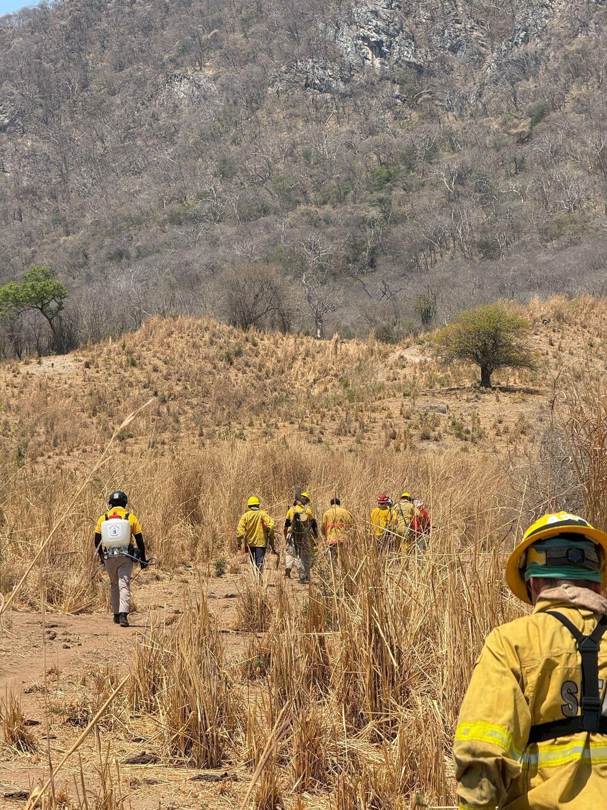 $!Afecta incendio forestal la sierra de La Noria; trabajan en combatir el fuego