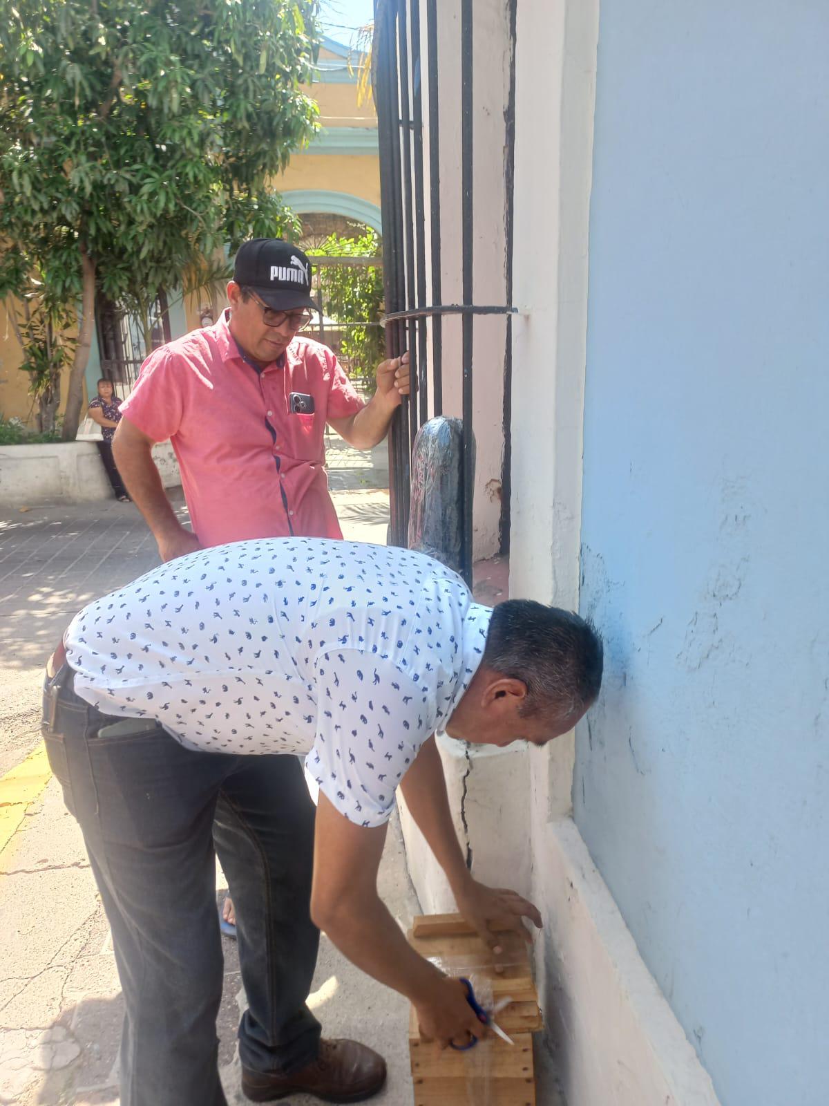 $!Rescatan enjambre de abejas sin aguijón en el Centro Histórico de Mazatlán