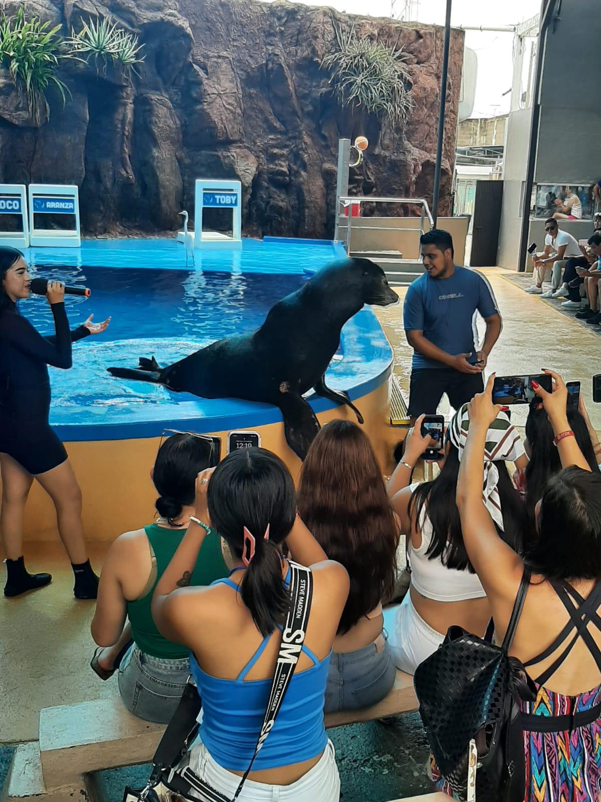 $!Agentes de viajes del país experimentan el Gran Acuario Mazatlán Mar de Cortés