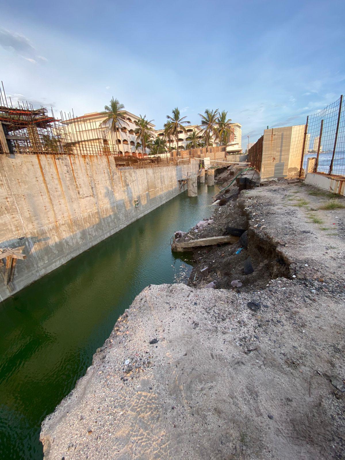 $!Rescata personal del Gran Acuario a tortuga golfina y la regresa al mar