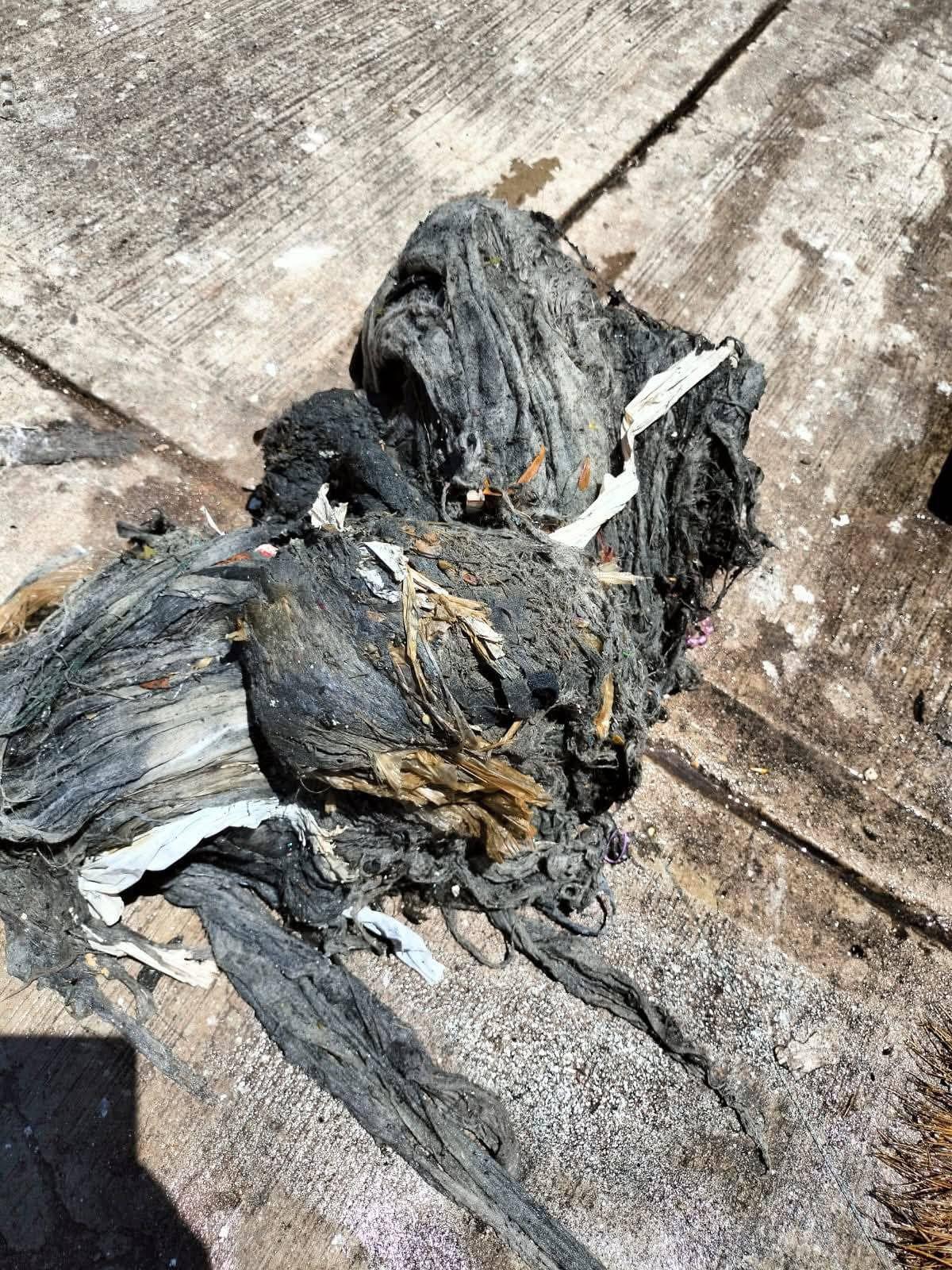 $!Dejen de tirar toallas sanitarias, toallitas húmedas, pañales y aceites al drenaje, pide Japac