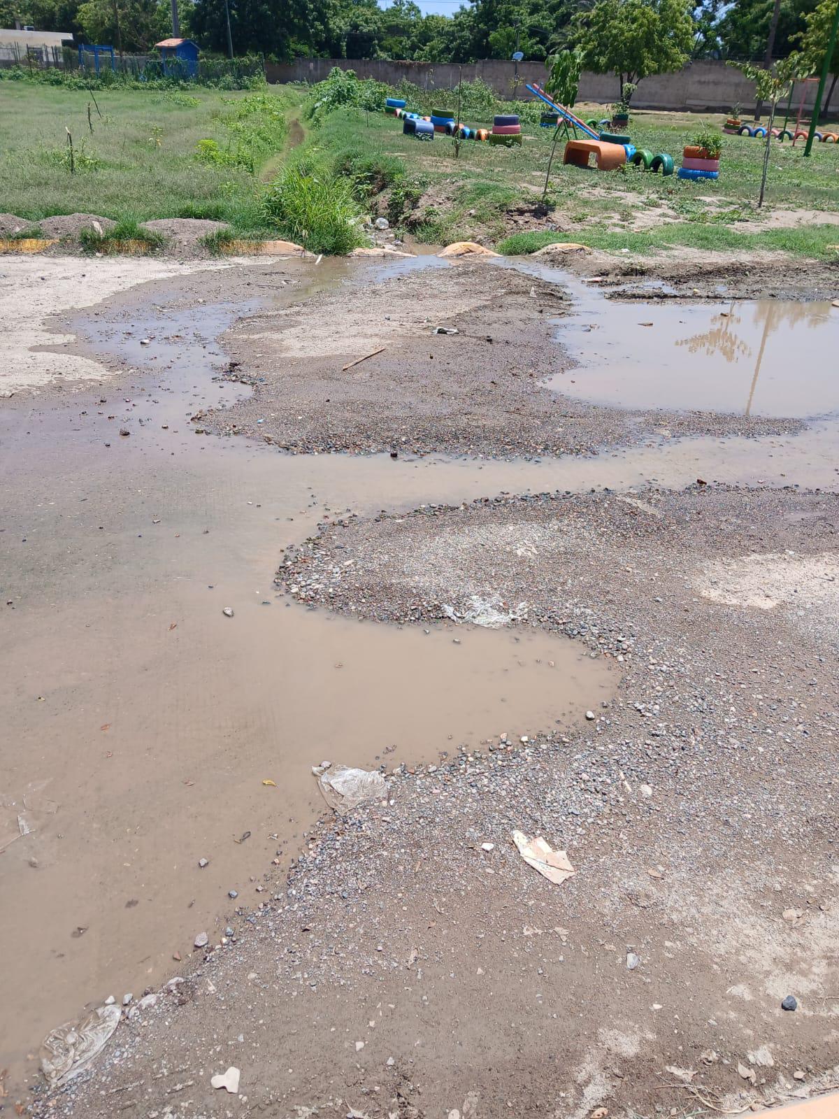 $!Denuncian vecinos derrame de drenaje y mosquitos en la Genaro Estrada, en Mazatlán
